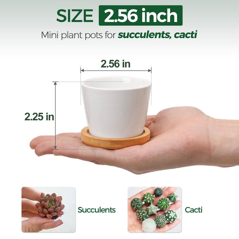 T4U 2.5 Inch Mini White Succulent Planter Pots with Bamboo Tray Round Set of 12, Tiny Ceramic Succulent Air Plant Flower Pots Cactus Faux Plants Containers, Gifts for Plant Lover, Home Office Decor - Image 2